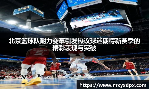 bellbet贝博官网