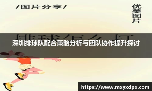 bellbet贝博APP