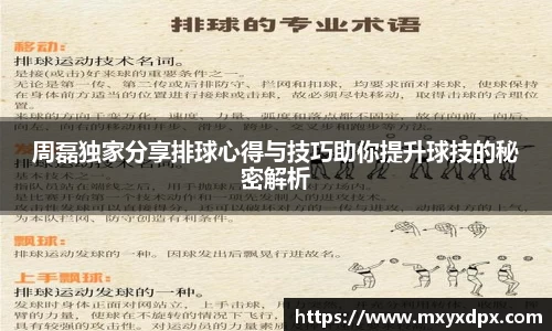 bellbet贝博官网