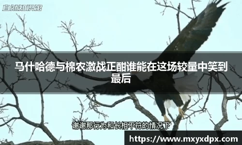 bellbet贝博APP